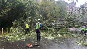 北市府跨局處動員　全速復原康芮颱風災損（業配勿用）