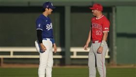 ▲大谷翔平、楚奧特（Mike Trout）在天使是隊友。（圖／美聯社／達志影像）