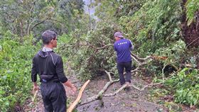 南投仁愛4男，上山釣魚，溪水暴漲受困失聯，卓社林道挺進，帕那巴拉社，搜救小組(圖／翻攝畫面)