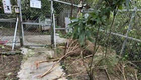 強颱康芮颱風侵襲台灣，八里保育場進行環境清理