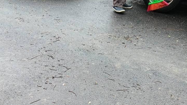 高雄蚯蚓大軍爬上街！民眾憂：要地震了？