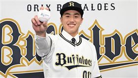 ▲台灣U18亞青王牌陳睦衡加盟歐力士日本記者會。（圖／翻攝自歐力士猛牛官網）