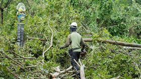 受到康芮颱風侵襲，木柵動物園部分園區受損嚴重，2日僅開放部分園區，入園費均一價50元。(圖／翻攝自台北市立動物園臉書粉專，下同)