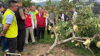 蕭美琴赴釋迦園勘災　落果樹倒農民心疼