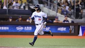 ▲江坤宇。（圖／中職提供）