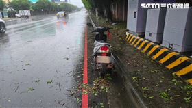 康芮颱風,台中,路樹,死亡,車禍,行車紀錄器（圖／翻攝畫面）