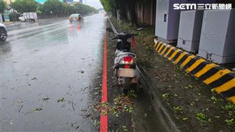 康芮颱風又奪1命？男騎車上班疑遭樹砸亡
