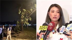 白晝之夜，顏若芳
（組合圖）