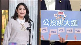 吳思瑤,公投綁大選(組合圖)