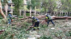 北市義消小隊長清除樹倒遭鏈鋸割傷腿。（圖／北市府提供）