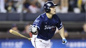 ▲世界12強台灣隊林安可。（圖／中職提供）