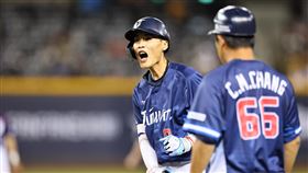 ▲台灣12強代表隊選手張政禹。（圖／中華職棒提供）