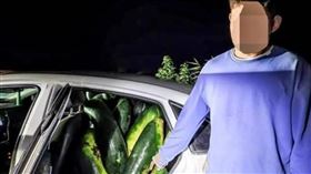 ▲中國安徽省宿松縣匯口鎮近日發生一起盜竊事件。（圖／翻攝自羊城晚報）