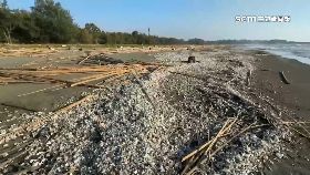 A蚵農虧二億1800