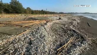 康芮重創蚵棚　台南蚵農嘆損失2.6億元