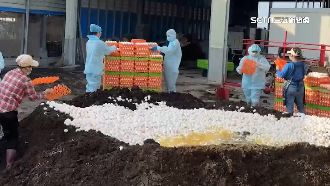 菜貴帶動雞蛋買氣　北市批發價今起漲2元