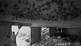 彰化，四面佛寺600隻，台灣葉鼻蝙蝠祕境，遭惡男闖入粗暴驅打(圖／翻攝畫面)