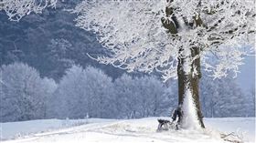 ▲立冬代表著冬天來臨。（示意圖／Pixabay）