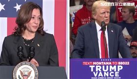 「川普交易」升溫　專家：美元強勢 日圓估再貶向155