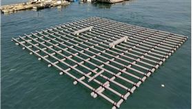 上週康芮颱風來襲，台南養蚵業損失慘重，估計外海蚵棚高達八成受損