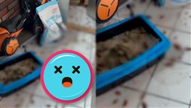 蟑螂,小強,爆廢公社二館