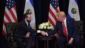 全球元首第一人！ 薩爾瓦多總統提前祝賀川普勝選