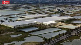 「我差點把命丟了」來台6年被黑道勒索、找警察也沒用...綠能外商泣訴：台灣從根裡就爛透（圖／今周刊）