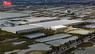 我差點把命丟了！來台6年被黑道勒索　綠能外商泣訴：台灣從根裡就爛透