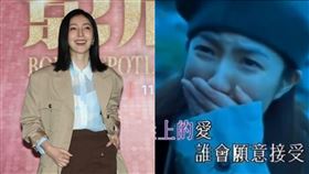 楊謹華、劉德華。（圖／翻攝自IG、YouTube）