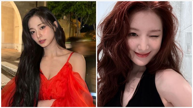 偷拍子瑜、舒華打彈珠　隔壁攤遭炎上刪文