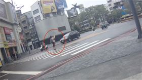 東門城,行人,科技執法,拍照,檢舉（圖／翻攝自《爆料公社》）