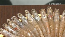 L浮誇火鍋戰1801。圖為白蝦（圖／資料照）