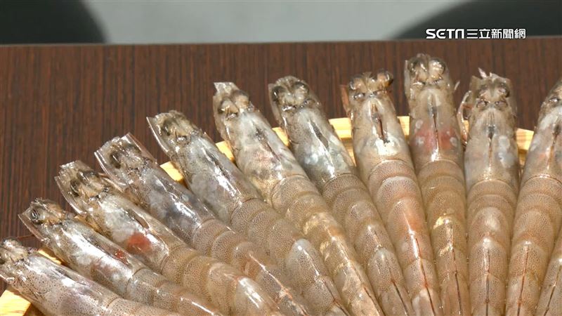 斷交上不了台灣餐桌　宏都拉斯白蝦慘兮兮