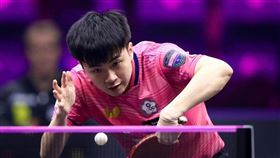 林昀儒,桌球,晉級,8強,世界桌球職業大聯盟,法蘭克福冠軍賽,2024（圖／翻攝自WTT世界乒聯微博）