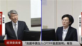 郭智輝、林岱樺經濟委員會
（圖／翻攝自國會頻道YT）