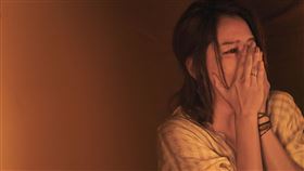 徐若瑄 索尼提供