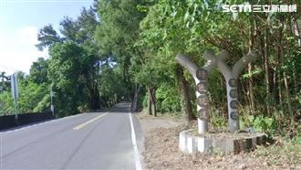 盤點特色綠隧道　竹林氛圍感、遊水路