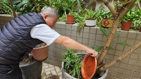 北市新增1例本土登革熱病例，工作人員持續孳生源清除及環境噴消等防治工作。（圖／北市衛生局提供）