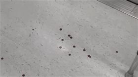 車廂內驚見血跡。（圖／翻攝畫面）