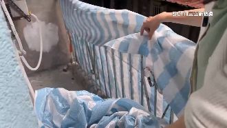 花11萬遇「蟑螂」工班　屋主：新房變鬼屋