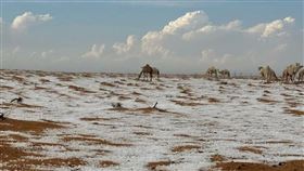 沙烏地阿拉伯下雪　（圖／翻攝自X）