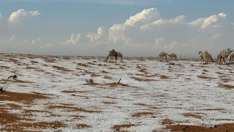 沙烏地阿拉伯下雪了　熱辣沙漠變銀白大地