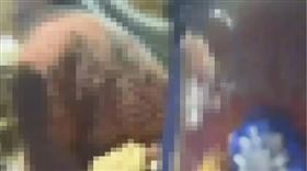 鄭姓女子參加品酒會情緒失控，還賞員工巴掌。（圖／翻攝畫面）