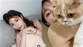 阿部瑪利亞與愛貓合影。（圖／翻攝自阿部瑪利亞IG）