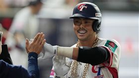 ▲世界12強，台灣隊旅美捕手林家正。（圖／中華棒協提供）