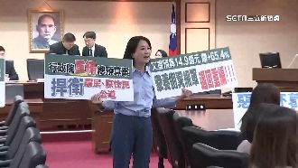 總預算案讓步成破口？綠委憂藍予取予求