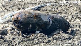 台積電高雄廠區今日又有未爆彈，情況尚未明朗。（圖／翻攝畫面）