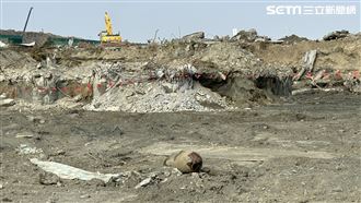 台積電廠區3挖未爆彈！研判：來自80年前