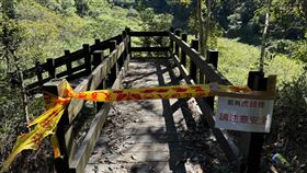 新／水雲瀑布虎頭蜂攻擊登山團！4人送醫