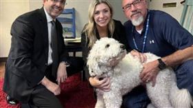 一隻忠心的拉布拉多協助警方破案。（圖／翻攝自McLennan County District Attorney's Office）